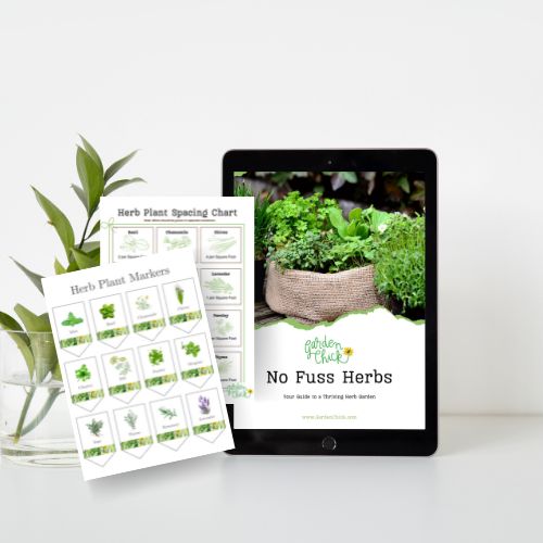 Herb Garden Guide (digital download)